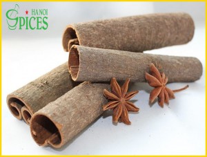CASSIA (CINNAMON)