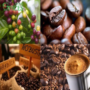 COFFEE BEANS